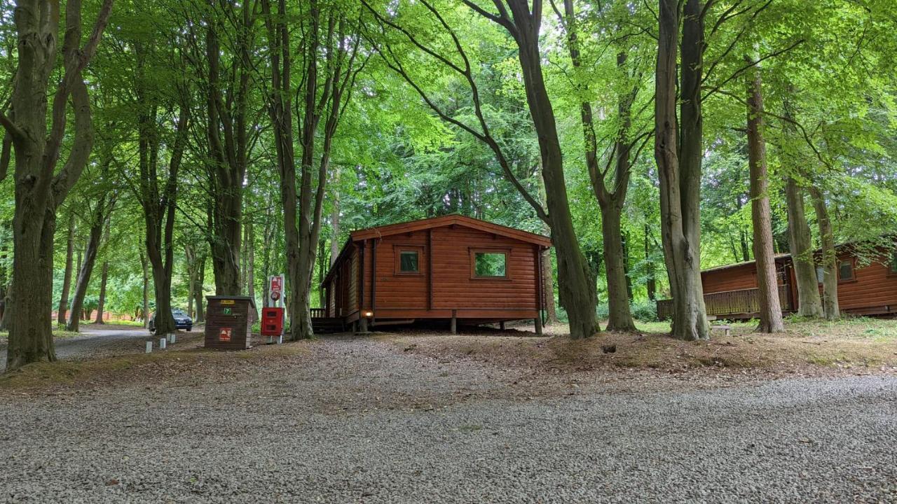 Bamboo Retreat Villa Louth  Dış mekan fotoğraf